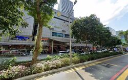 Lucky Plaza (D9), Shop House #607368731